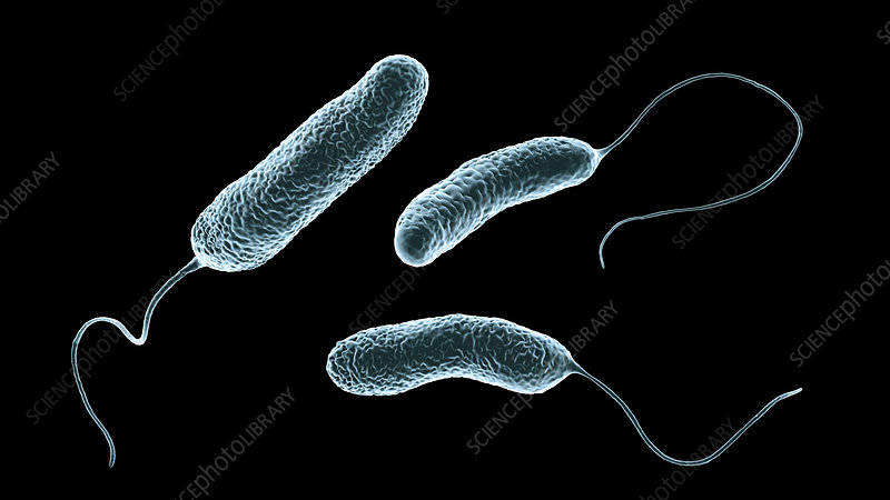 Credit: KATERYNA KON / SCIENCE PHOTO LIBRARY